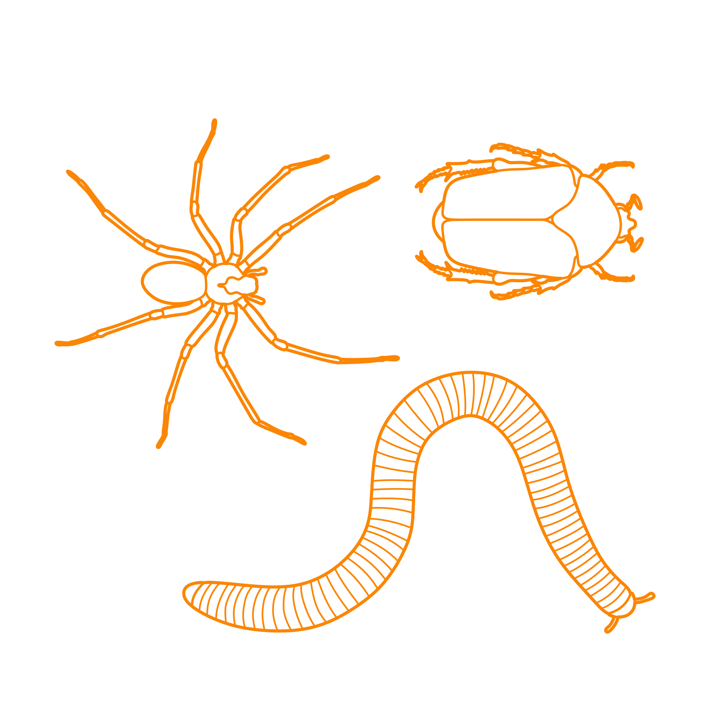 Animals Arthropods Icon Svg Vector Free Vectors